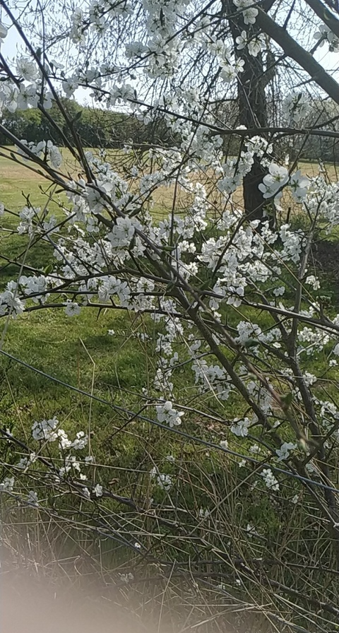 Leaked a.brett_2001 header onlyfans leaked