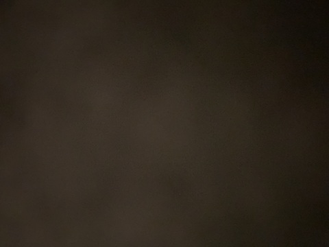 Leaked a.nyia header onlyfans leaked