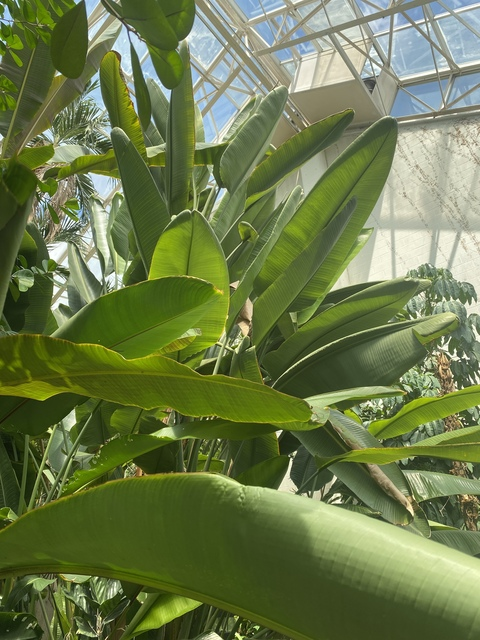 Leaked a0f044p header onlyfans leaked