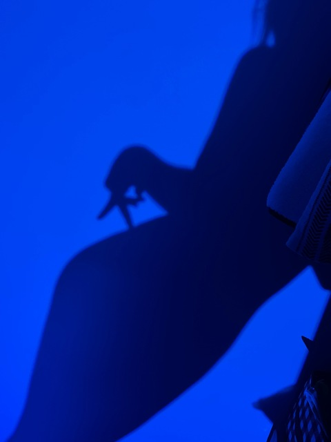 Leaked aa333 header onlyfans leaked