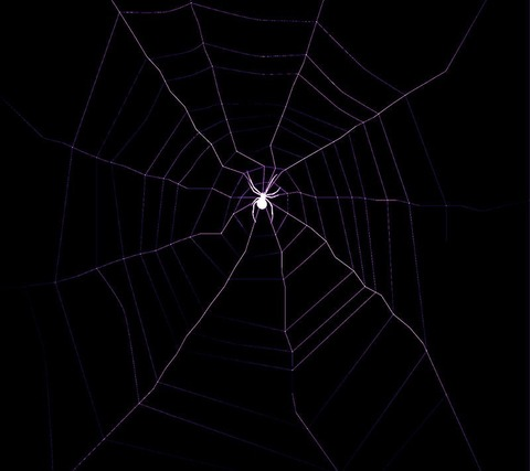 Leaked abbybladez header onlyfans leaked