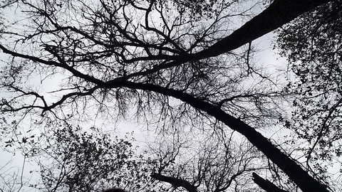 Leaked ace_gray header onlyfans leaked