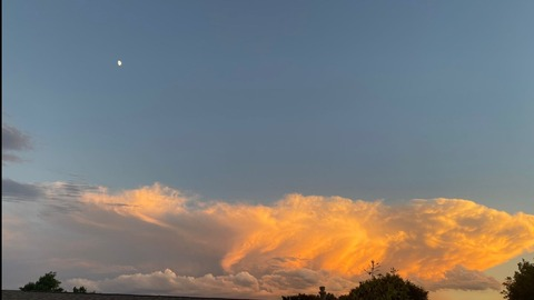 Leaked acilegna.sr header onlyfans leaked