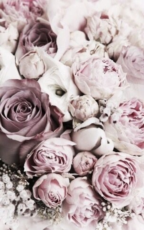 Leaked addie_the_baddie header onlyfans leaked