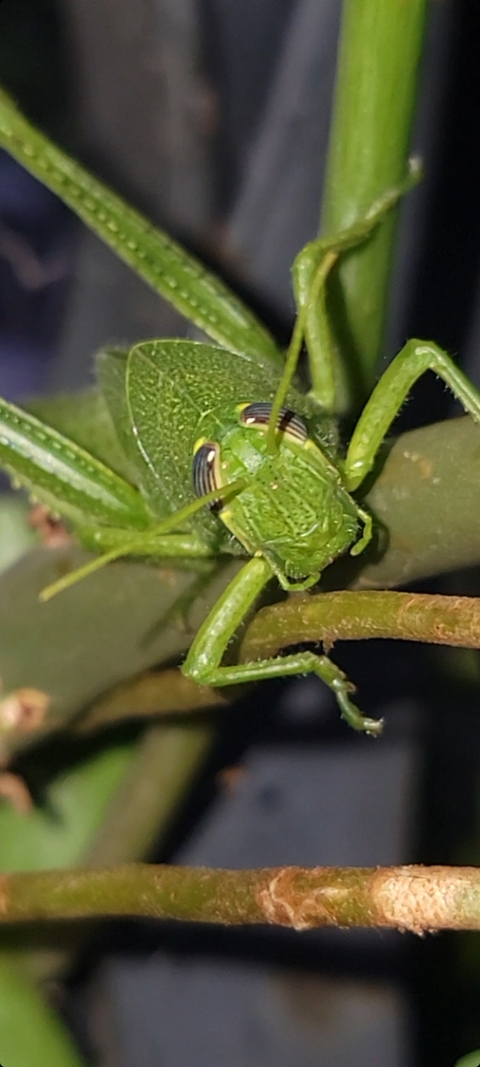 Leaked addilove header onlyfans leaked