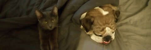 Leaked adorablecasey header onlyfans leaked