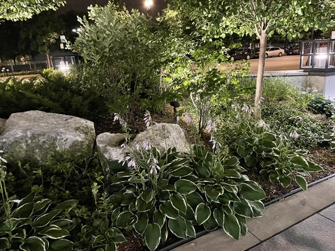 Leaked adoscine header onlyfans leaked