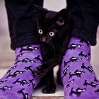 Leaked adriankingstl onlyfans leaked