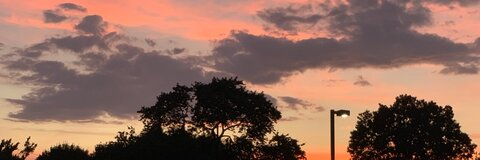 Leaked adrienneee01 header onlyfans leaked