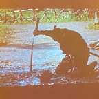 Leaked aestheticallypleasing206 onlyfans leaked