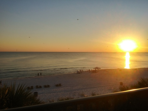 Leaked alanie header onlyfans leaked