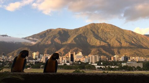 Leaked alaniss header onlyfans leaked