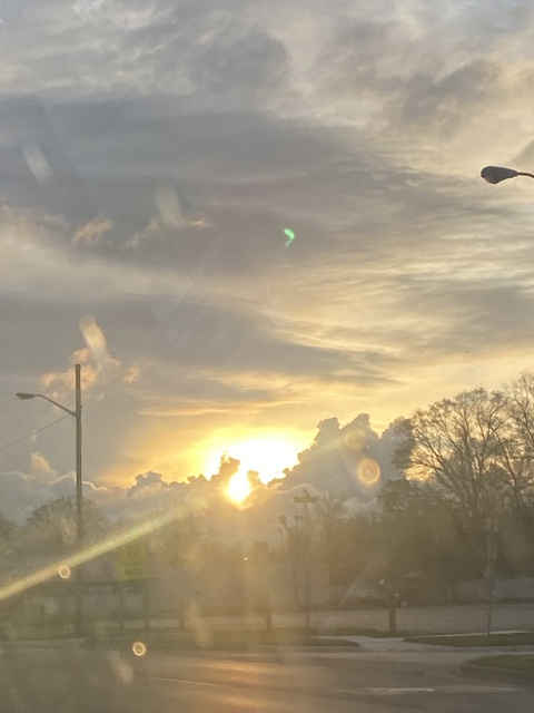 Leaked albinojoey header onlyfans leaked