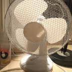 ale_onlyfans Profile Picture