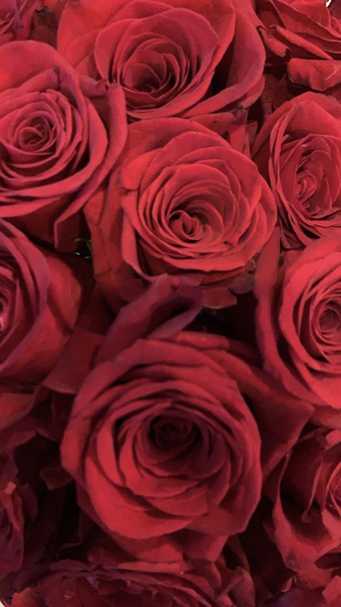 Leaked alib17 header onlyfans leaked