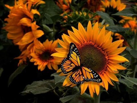 Leaked alyssa.0623 header onlyfans leaked