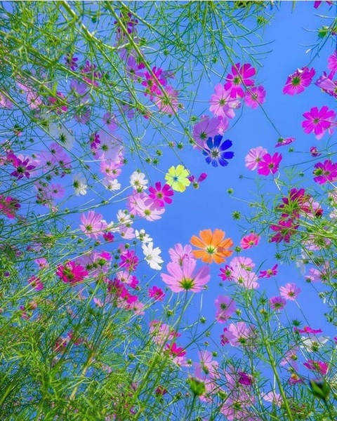 Leaked alyssaloveslingerie_vip header onlyfans leaked