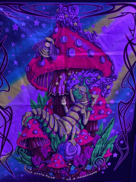 Leaked alyssaryn header onlyfans leaked