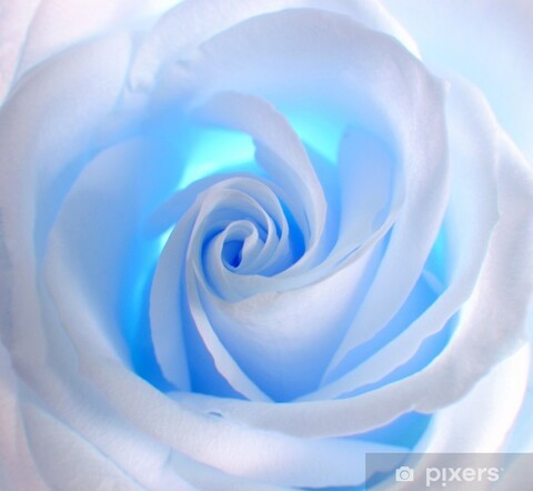 Leaked ambraenm header onlyfans leaked