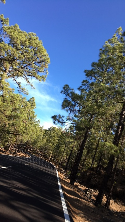 Leaked amelie7 header onlyfans leaked