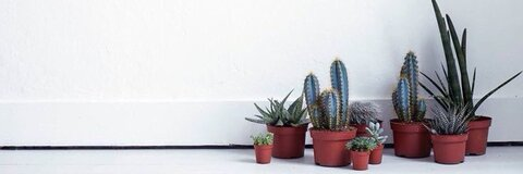 Leaked andreavozell header onlyfans leaked