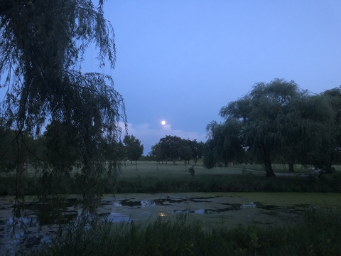 Leaked anja_on_ya header onlyfans leaked