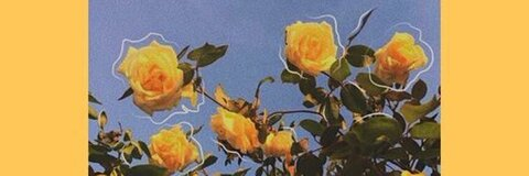 Leaked anna9879887 header onlyfans leaked