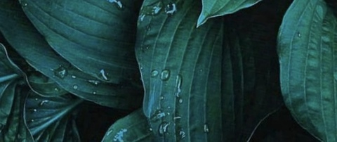 Leaked annabellebbyyy header onlyfans leaked