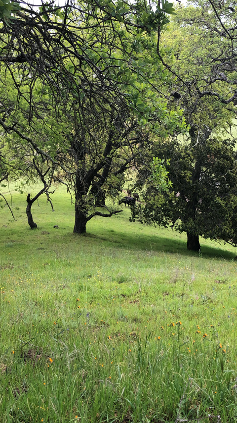 Leaked annameier header onlyfans leaked