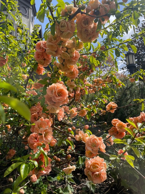 Leaked annikafordx header onlyfans leaked