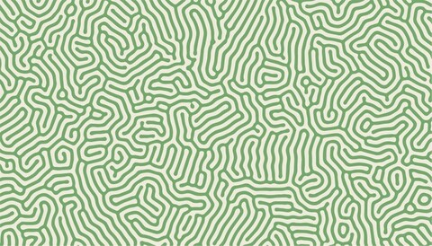 Leaked antit0 header onlyfans leaked