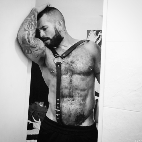 Leaked antorchahumana9 header onlyfans leaked