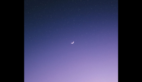 Leaked appleyes header onlyfans leaked