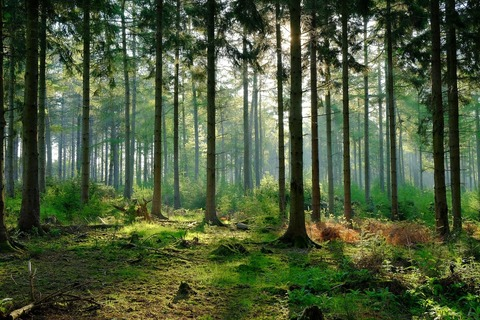 Leaked archiexclara header onlyfans leaked