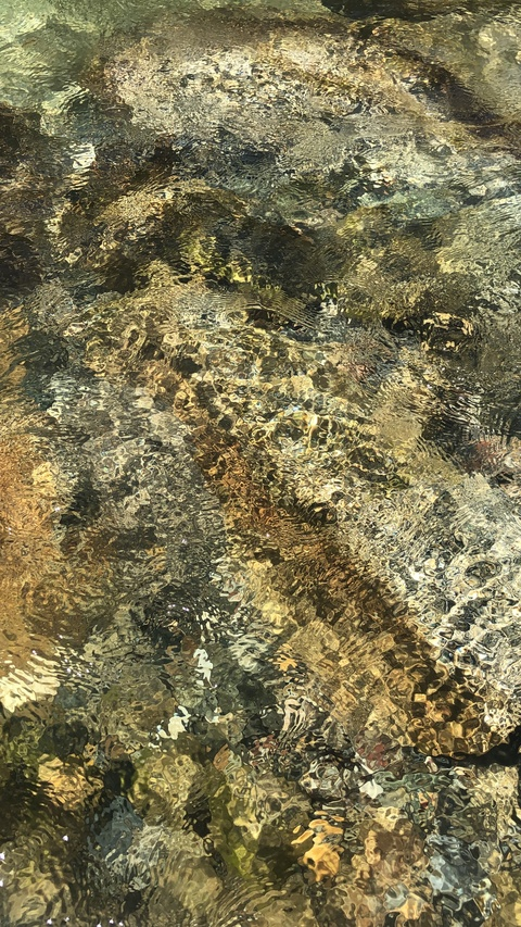 Leaked ariadne header onlyfans leaked