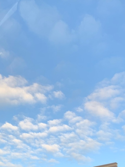 Leaked arijane1111 header onlyfans leaked