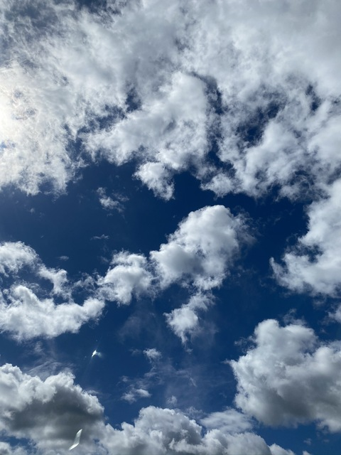 Leaked aryn.winters header onlyfans leaked