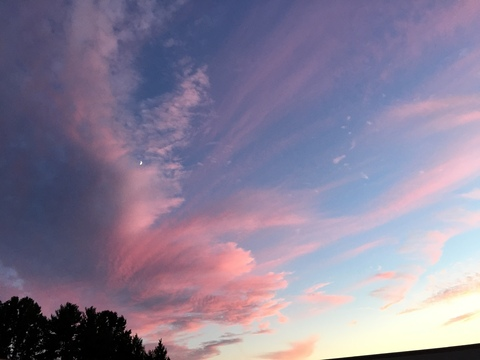 Leaked aurorraa header onlyfans leaked