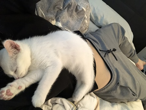 Leaked avaababyy header onlyfans leaked