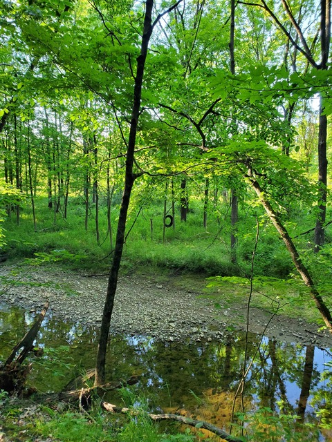 Leaked b1gd4ddyjd header onlyfans leaked