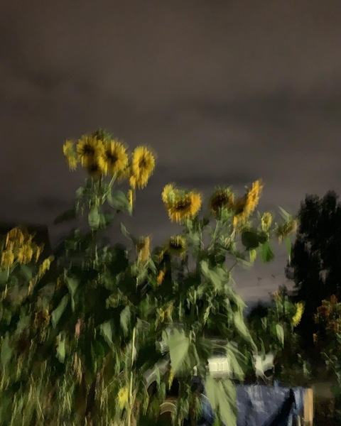 Leaked babiejb header onlyfans leaked