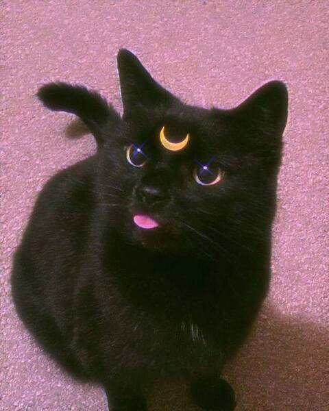 Leaked babko header onlyfans leaked