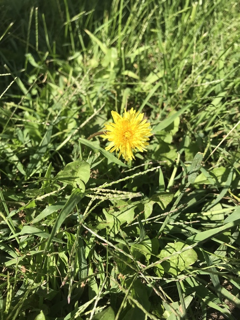 Leaked babybbird header onlyfans leaked