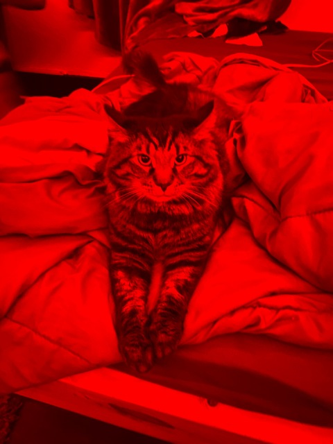 Leaked babydoll3421 header onlyfans leaked