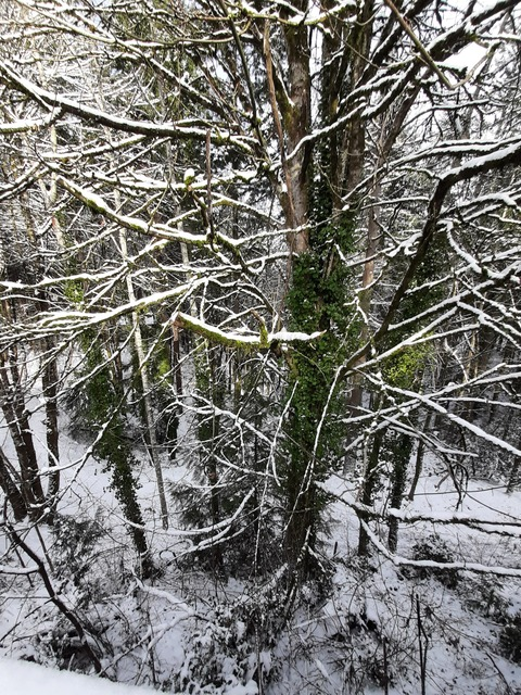 Leaked babygirl1864 header onlyfans leaked