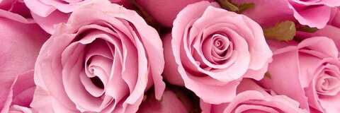 Leaked babypink header onlyfans leaked