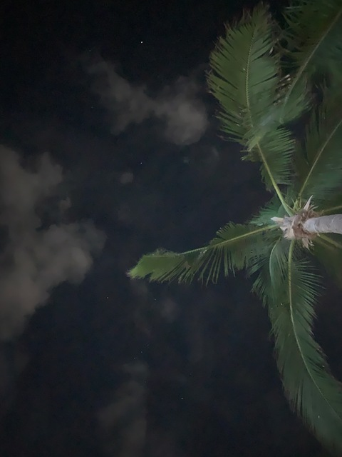 Leaked babypluto header onlyfans leaked