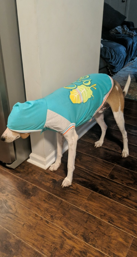 Leaked bailey_brooke header onlyfans leaked