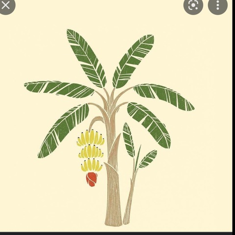 Leaked bananasforu header onlyfans leaked