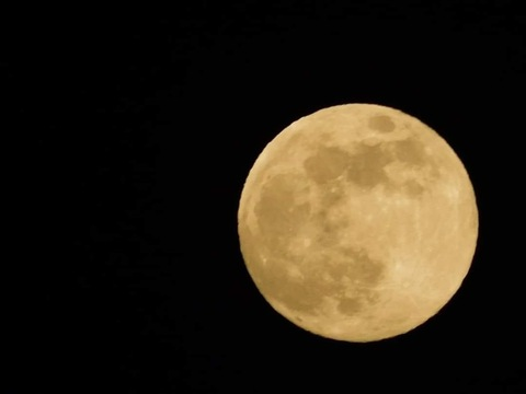 Leaked baphometsbabygirl header onlyfans leaked